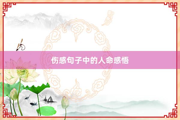 伤感句子中的人命感悟